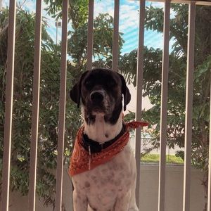 Meet your Posher, Becka